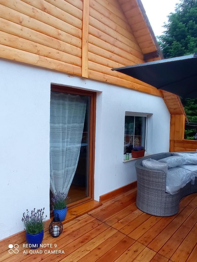 Apartamenty Sowianka Лудвиковице Клодзкие Екстериор снимка