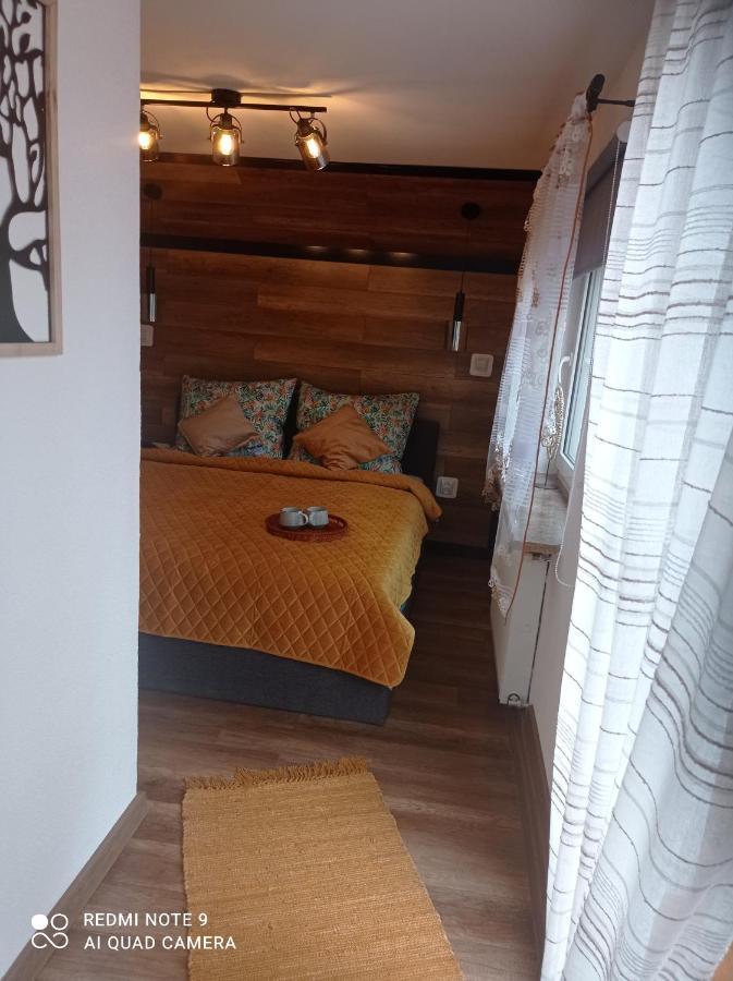 Apartamenty Sowianka Лудвиковице Клодзкие Екстериор снимка